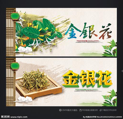广告设计的艺术与创新 挖掘设计图库的强大潜力